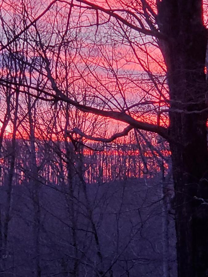 Вилла Treehouse Cathedral In Blue Ridge Mountains, Nc Burnsville Экстерьер фото