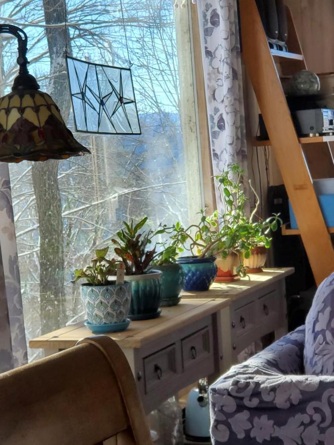 Вилла Treehouse Cathedral In Blue Ridge Mountains, Nc Burnsville Экстерьер фото